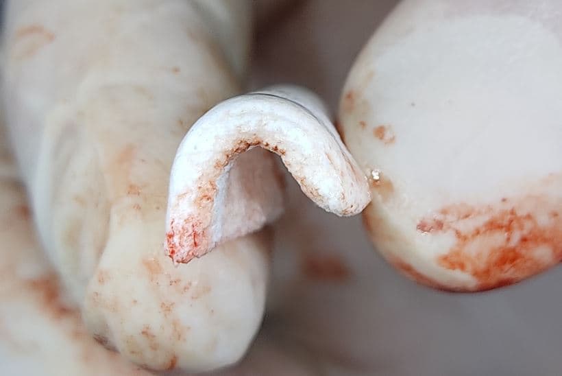 Powerbone Flexible Graft